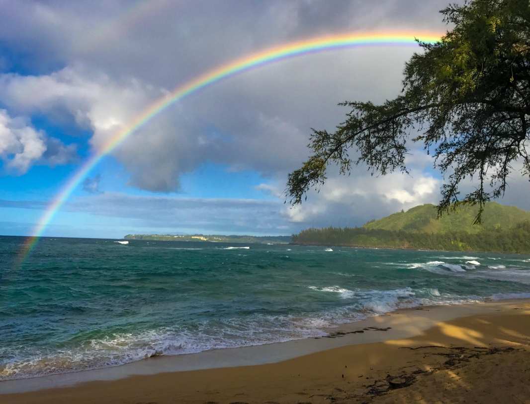 Hawaii Homes