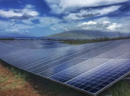 Solar Panels in Hawaii